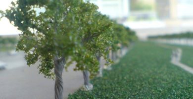 opciones para árboles modelo en miniatura